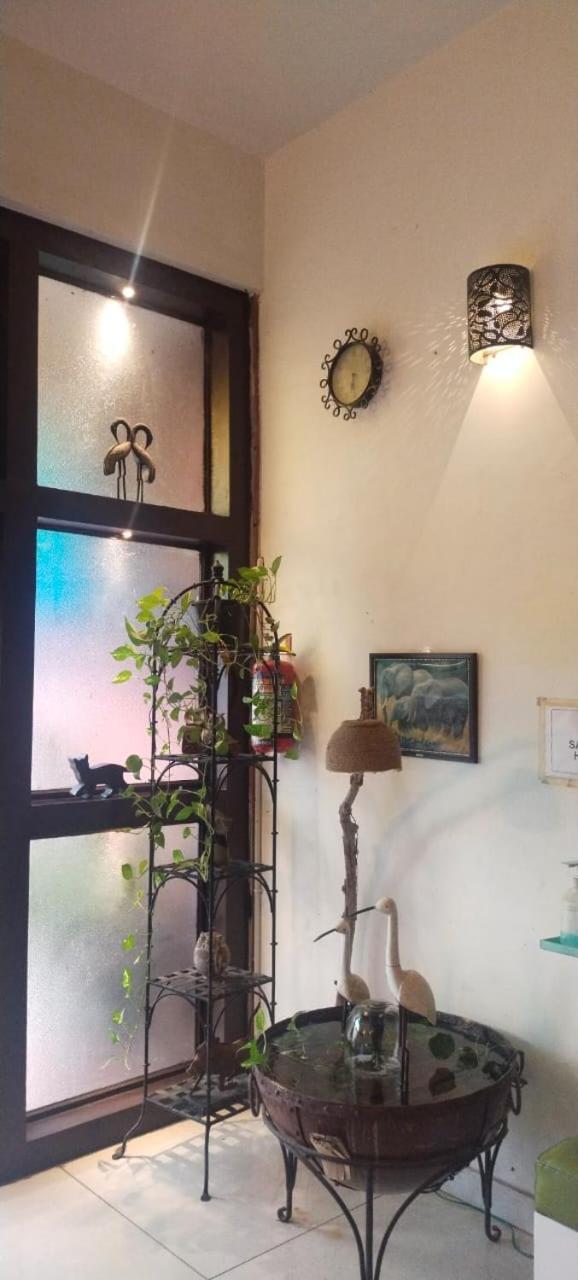 Rangbaari Stays & Cafe Jodhpur  Esterno foto